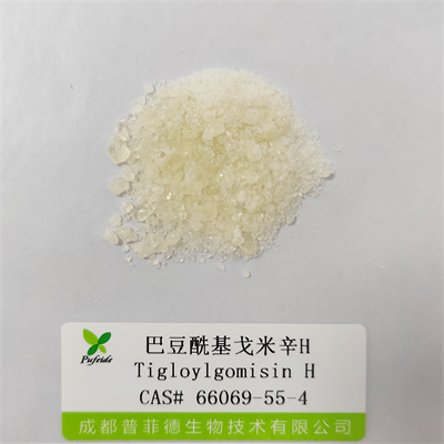 巴豆?；昝仔罤|66069-55-4