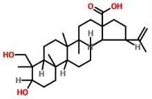 普菲德專題產(chǎn)品推薦-白頭翁系列(圖2) 普菲德專題產(chǎn)品推薦-白頭翁系列(圖2)